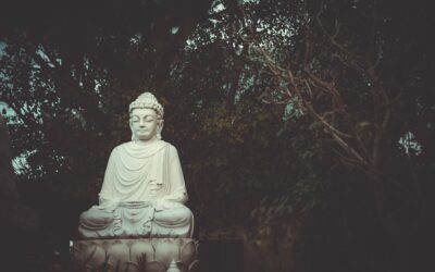 Organizing lessons from a meditation retreat